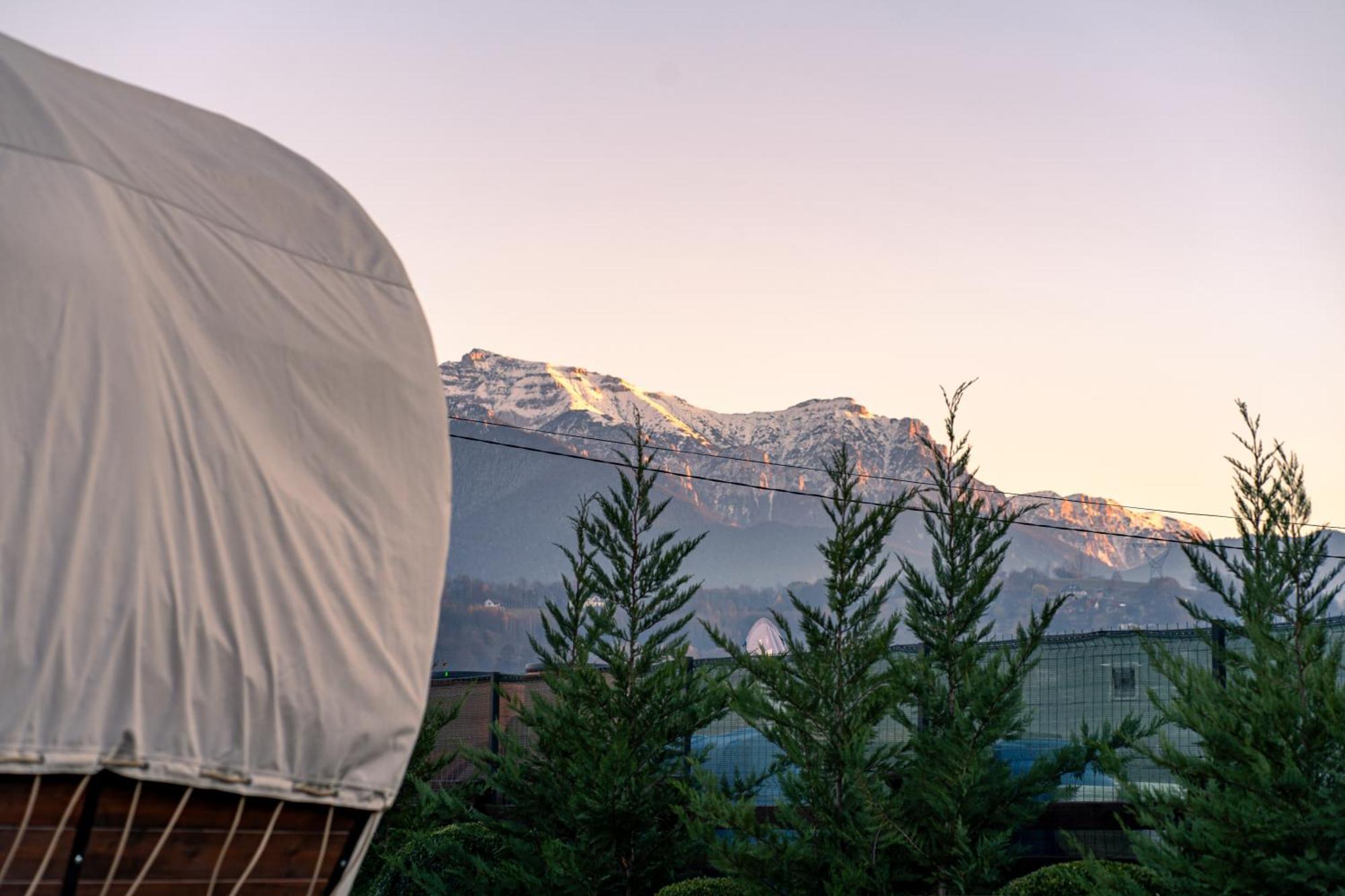Glamp In Style Pods Resort Bran  Exterior foto